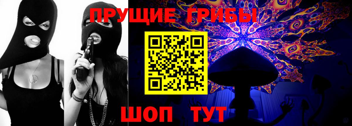 Псилоцибиновые грибы Psilocybe Сегежа